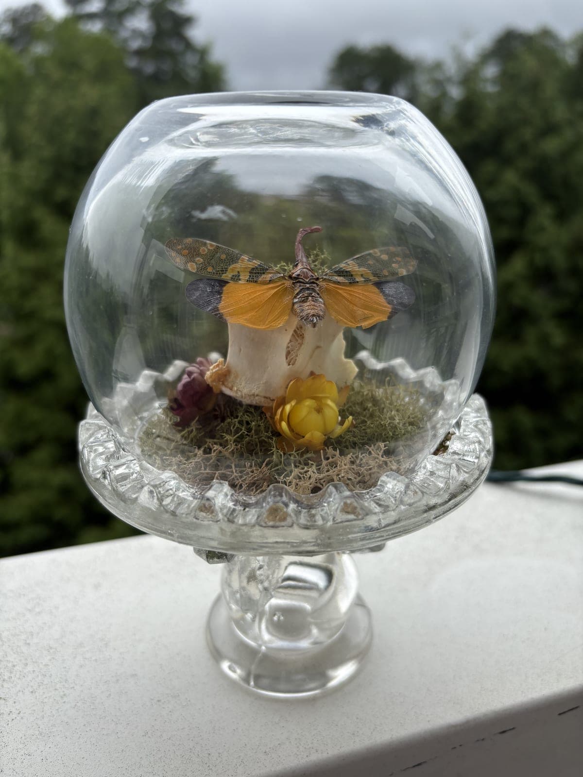 Glass cloche with butterfly and florals